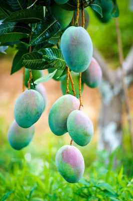 英雄攀枝花 陽光康養(yǎng)地