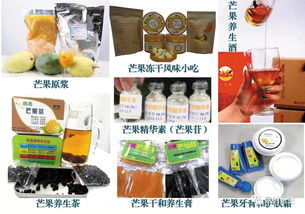 攀枝花芒果深加工產業大有可為 本土專家自主研發新型芒果原漿生產線調試成功