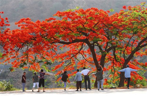 康養花城;攀枝花過冬養老,度假還是買房安家?_旅游_網