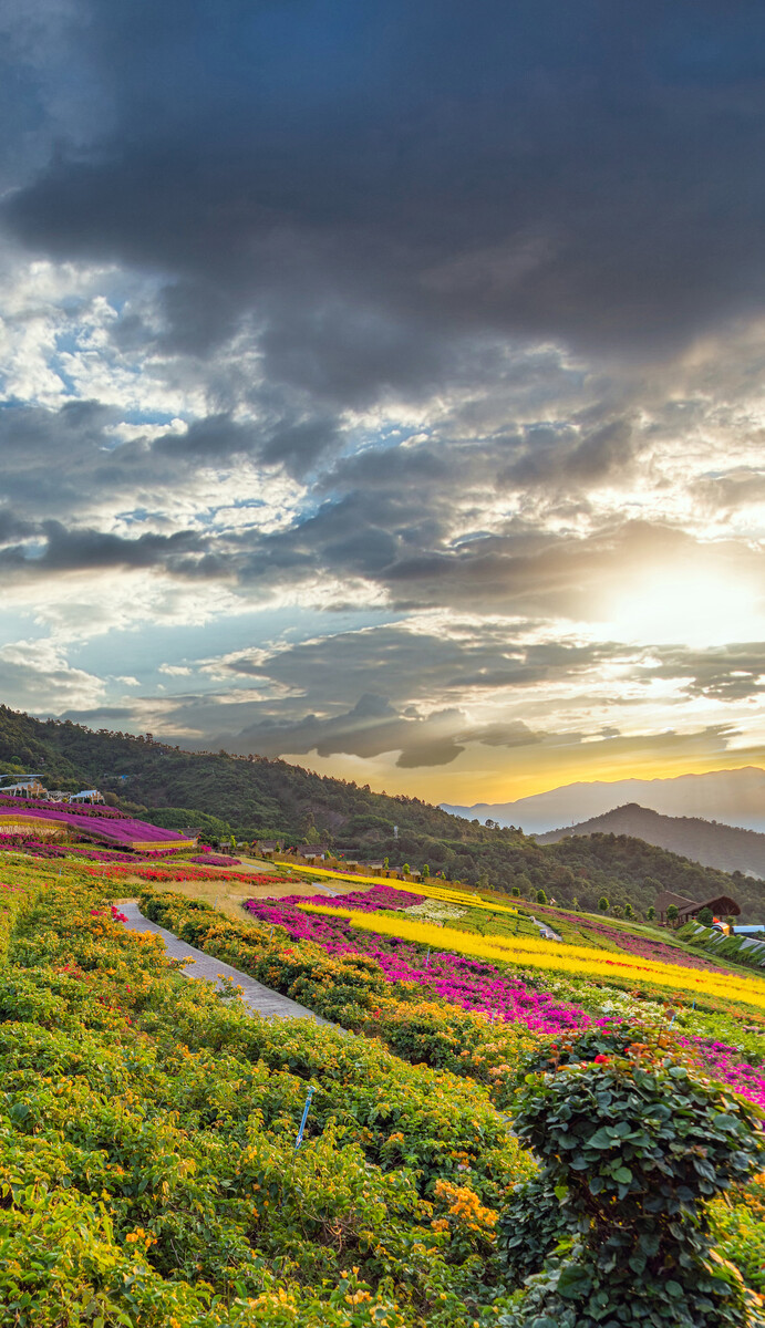 深圳,攀枝花,城市建筑,景觀風光。