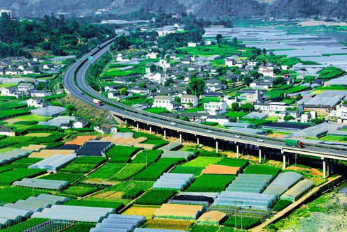 聆聽 攀枝花開 ,著名詞人 音樂人聯袂創作,屬于攀枝花人的歌