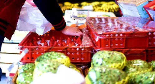 攀枝花水果 春節送禮新風尚，外地市場受熱捧